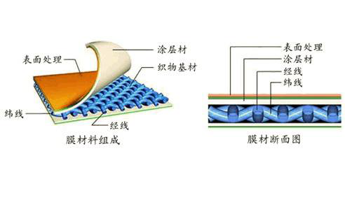 膜結構加工